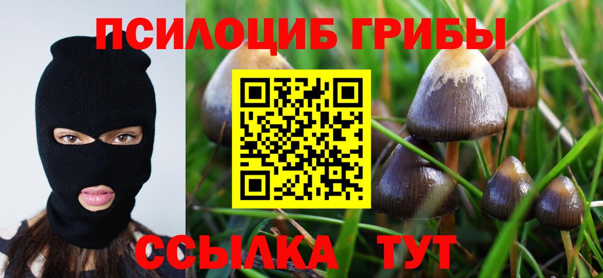 купить   Вход с VPN  Орехово-Зуево  Галлюциногенные грибы ЛСД 