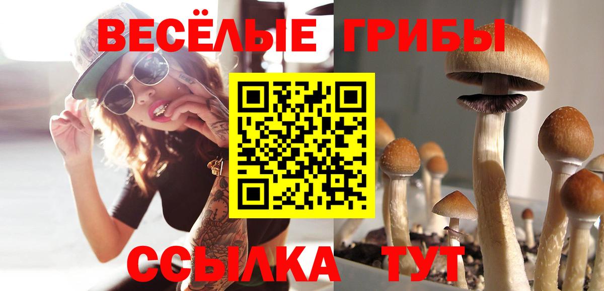 Галлюциногенные грибы MAGIC MUSHROOMS Орехово-Зуево